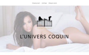 https://www.portailcoquin.com